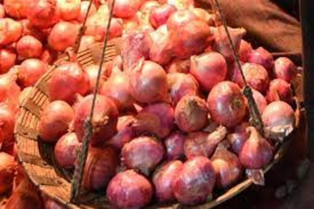 Centre's Assurance Amidst Protests as Onion Market Closure Enters Second Day