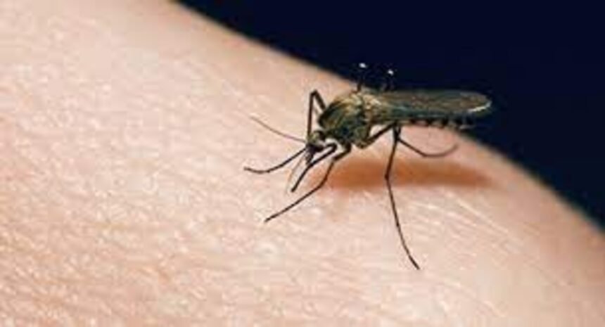 Battling Mosquito-Borne Threat EEE in Vermont