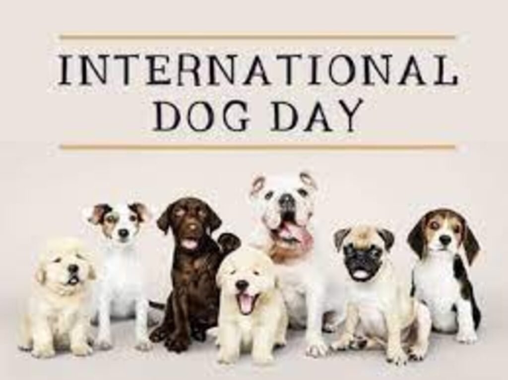 Celebrating International Dog Day with Delicious Homemade Treats