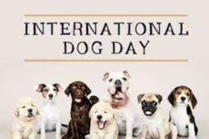 Celebrating International Dog Day with Delicious Homemade Treats