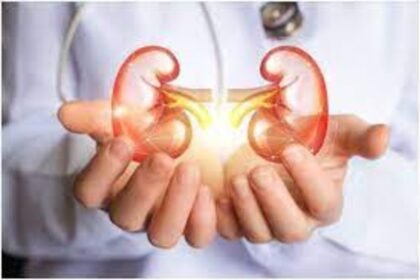 Protecting Your Kidneys: Avoiding Common Habits that Cause Damage