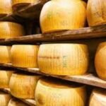 Italian cheesemaker crushed to death by cheese wheels