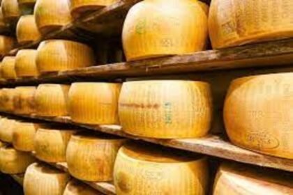 Italian cheesemaker crushed to death by cheese wheels