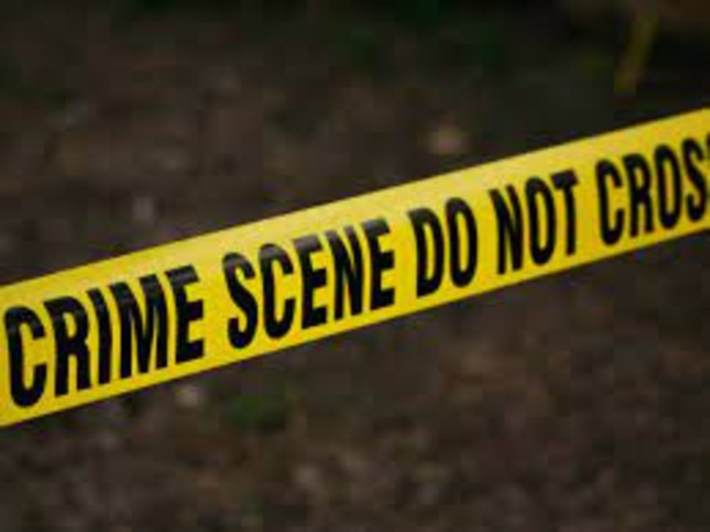 Woman Stabbed to Death in Kochi Hotel Room; Accused Apprehended