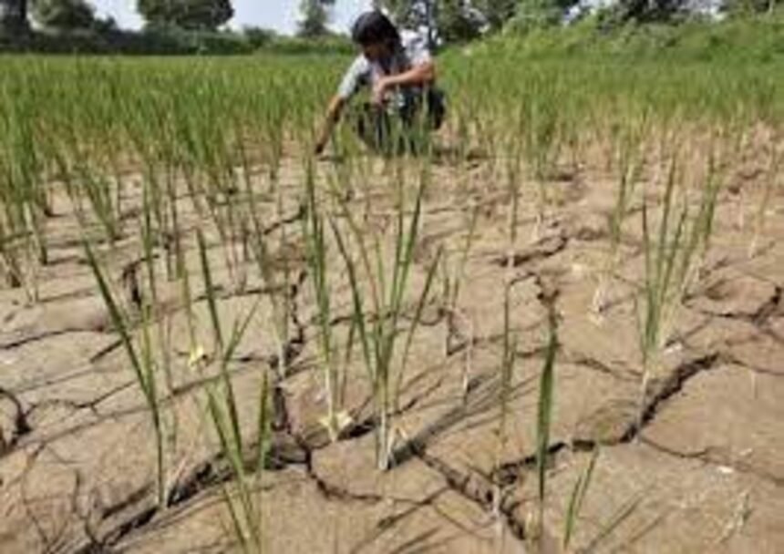 India Faces August Rainfall Deficit, Jeopardising Summer Crops