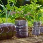 Eco-Friendly DIY Ideas for Using Plastic for kitchen Garden