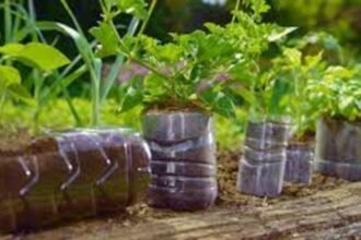 Eco-Friendly DIY Ideas for Using Plastic for kitchen Garden