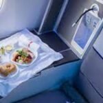 Guide to Restricted In-Flight Food Items