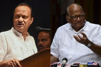 Collage image representing Maharashtra Deputy CM Ajit Pawar and NCP chief Sharad Pawar