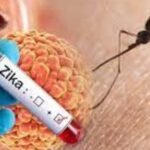 Mumbai's First Zika Case