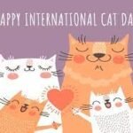 International Cat Day