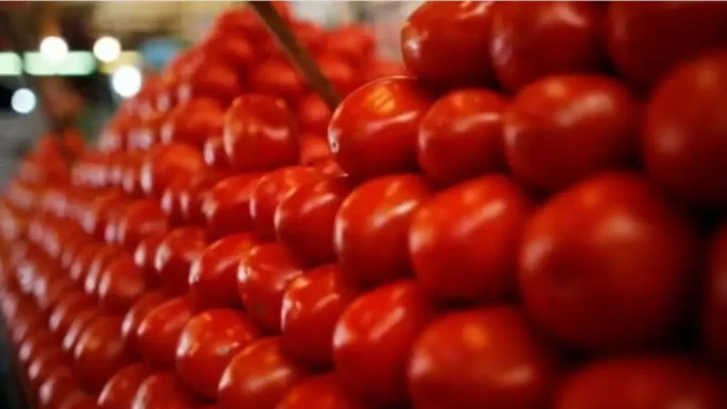 India to import tomatoes from Nepal price to drop in Delhi