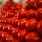 India to import tomatoes from Nepal price to drop in Delhi