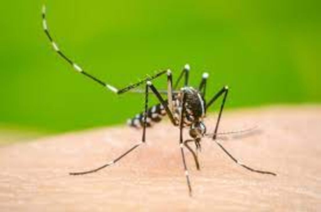 Dengue Outbreak Claims 21 Lives in Bangladesh
