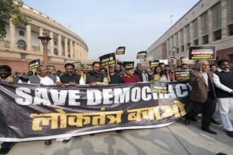 save democracy